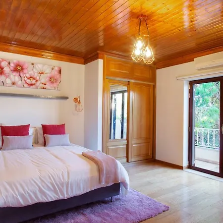 Villa Casa Do Casalinho Avelar